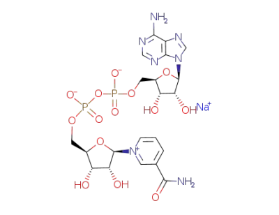 sodium β-nicotinamide adenine dinucleotide phosphate