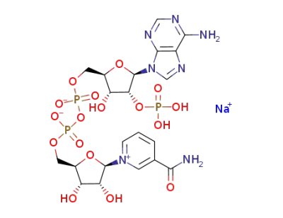 β-nicotinamide adenine dinucleotide phosphate sodium salt